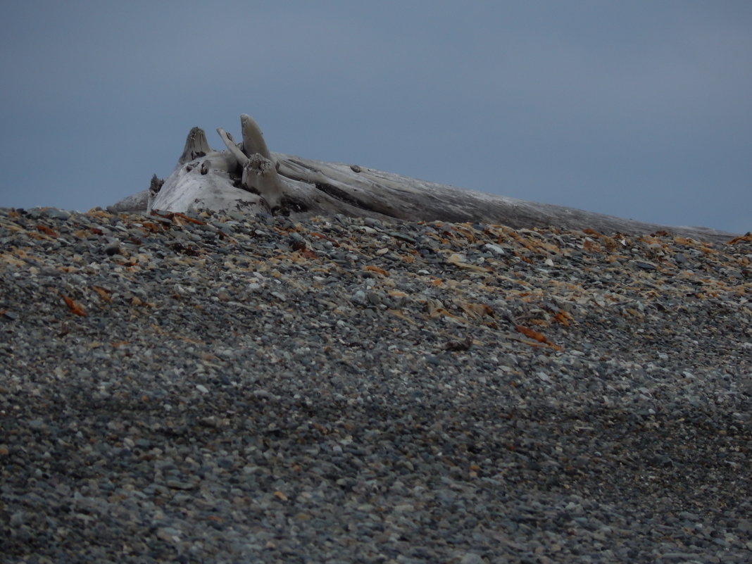 Притих затаился... - Александр Тненны