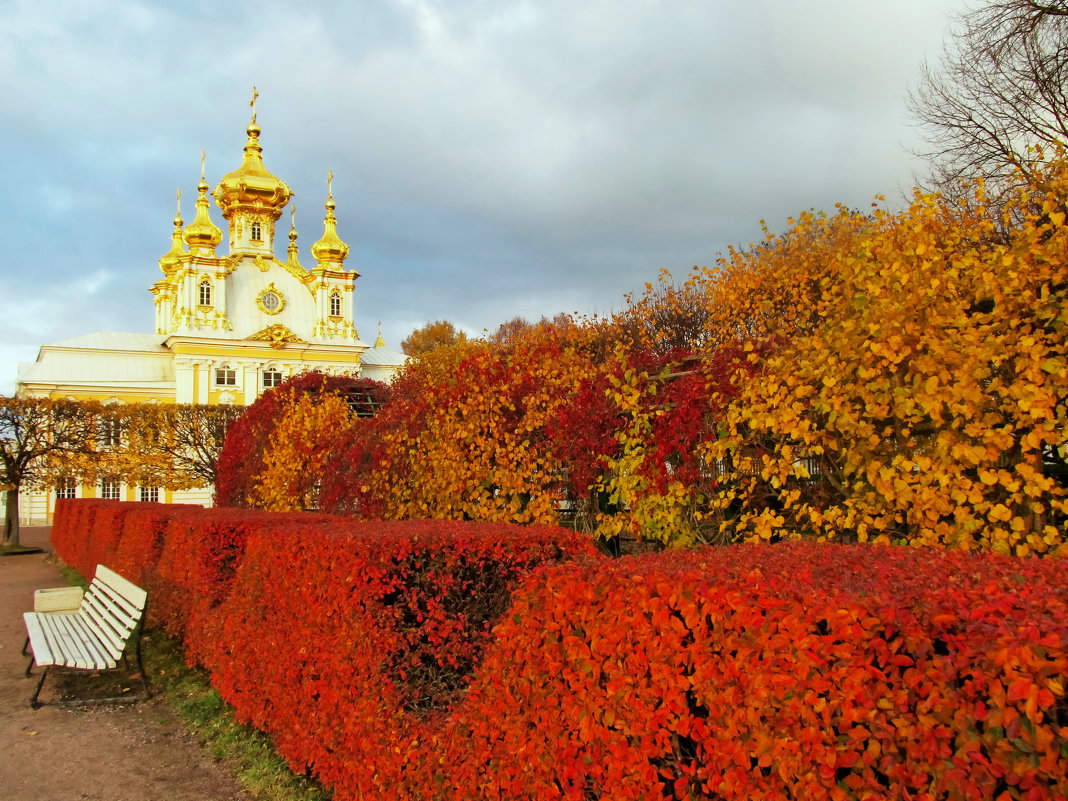 Осенний Петергоф - Людмила Тамкун