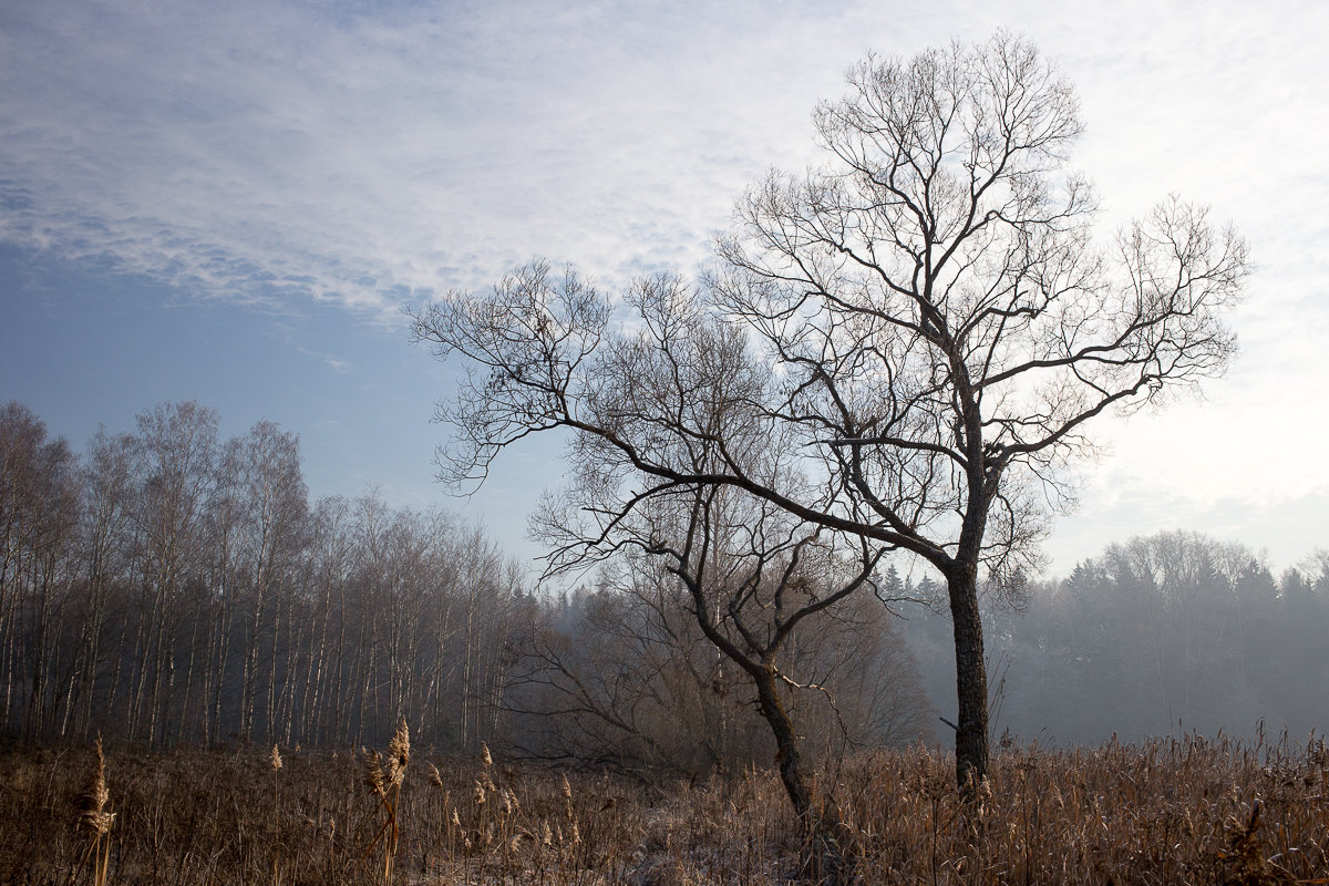 *** - dbayrak Дмитрий Байрак