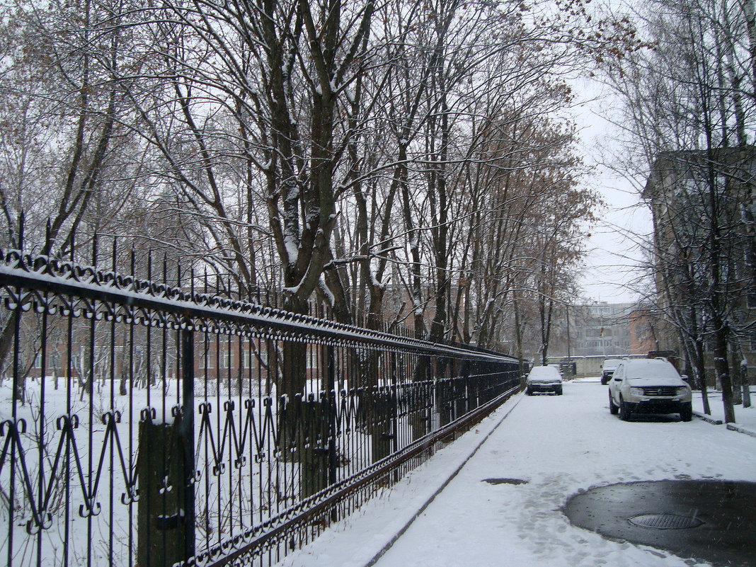 первый городской снежок... - Галина Флора