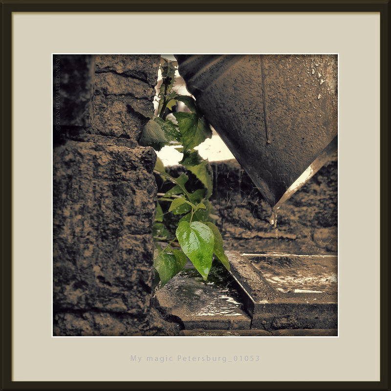 My magic Petersburg_01053 - Станислав Лебединский My magic Petersburg_01053 - Станислав Лебединский