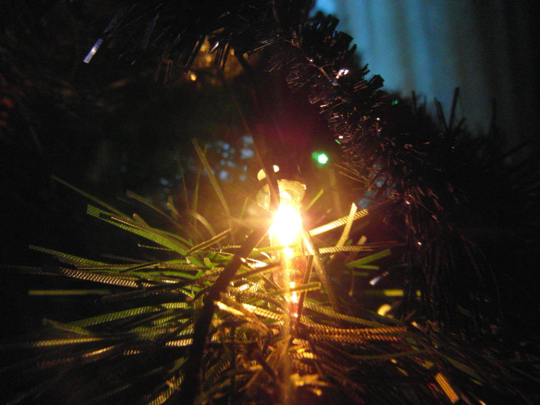 Гирлянда - Настя Шахова