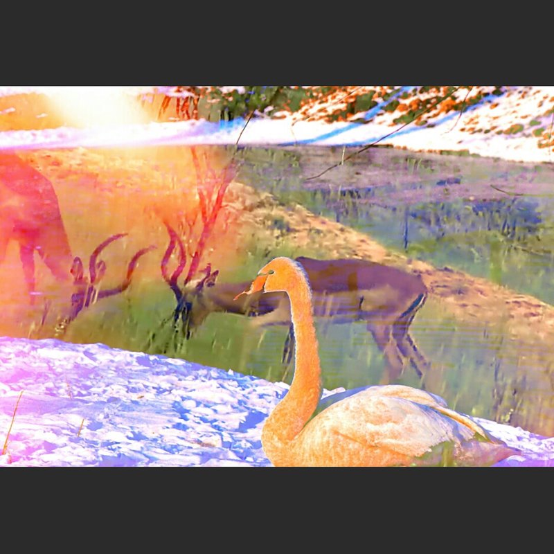 Воспоминания о лете - Alexei Kopeliovich