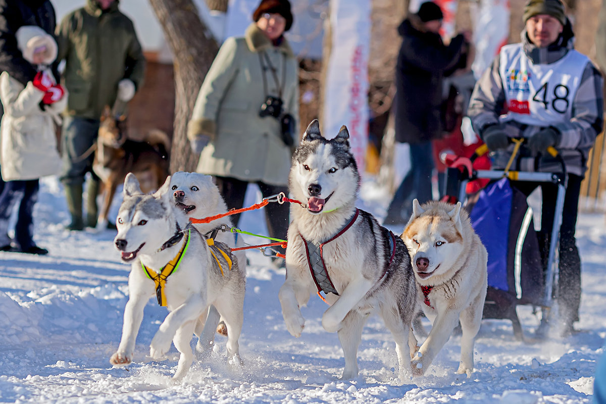 Вперёд! ) - Сергей Щербатюк Вперёд! ) - Сергей Щербатюк