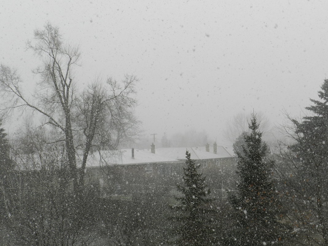 А снег идёт, а снег идёт... - Юрий Поляков