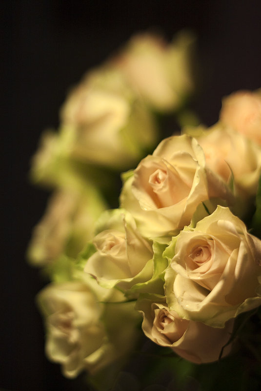 ... - Лазарева Оксана ... - Лазарева Оксана