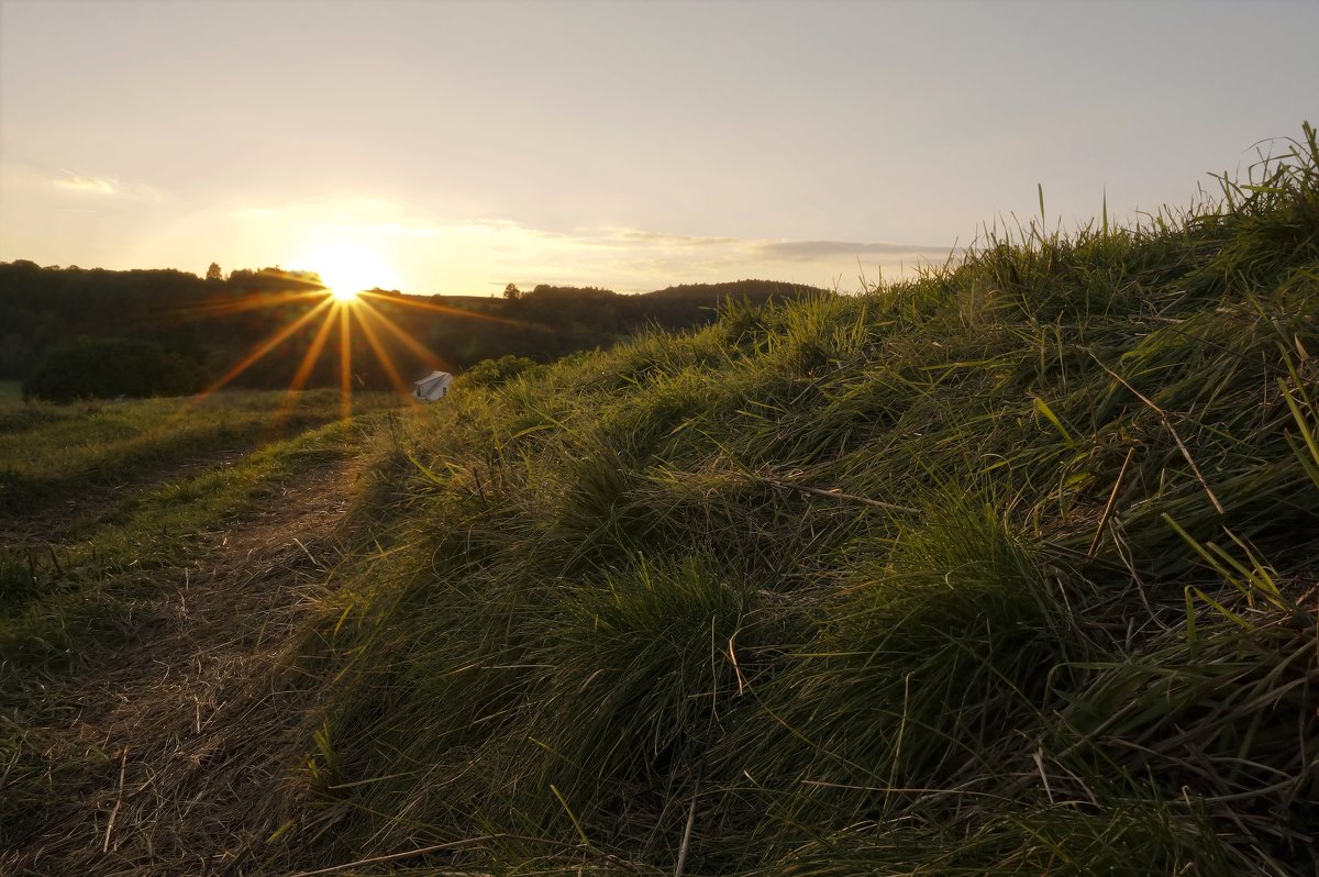 Вечерком гуляет солнце по земле - Татьяна Кадочникова Вечерком гуляет солнце по земле - Татьяна Кадочникова