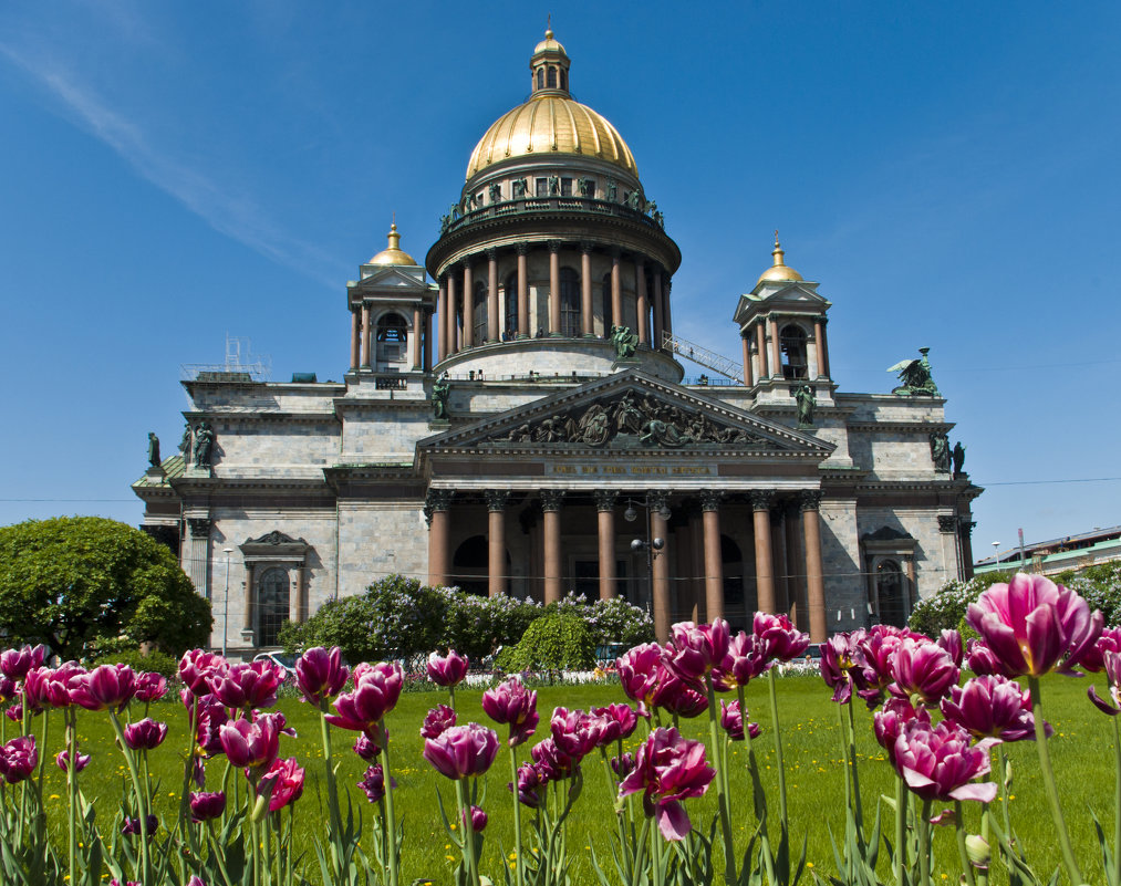 В Петербурге солнечно. - Владимир 