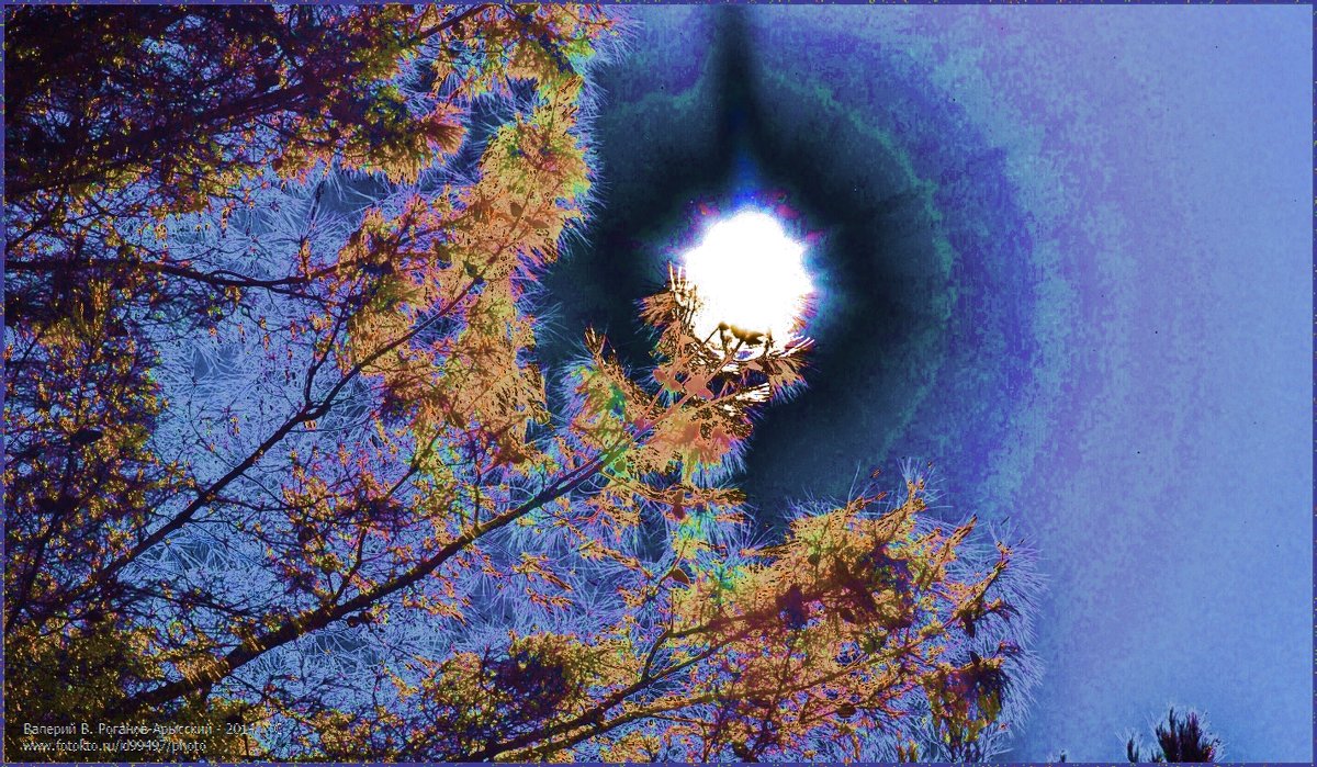 СОЛНЫШКО, ИЛИ ИСПЫТАНИЕ МАТРИЦЫ НА ПРОЧНОСТЬ(2) - Валерий Викторович РОГАНОВ-АРЫССКИЙ СОЛНЫШКО, ИЛИ ИСПЫТАНИЕ МАТРИЦЫ НА ПРОЧНОСТЬ(2) - Валерий Викторович РОГАНОВ-АРЫССКИЙ