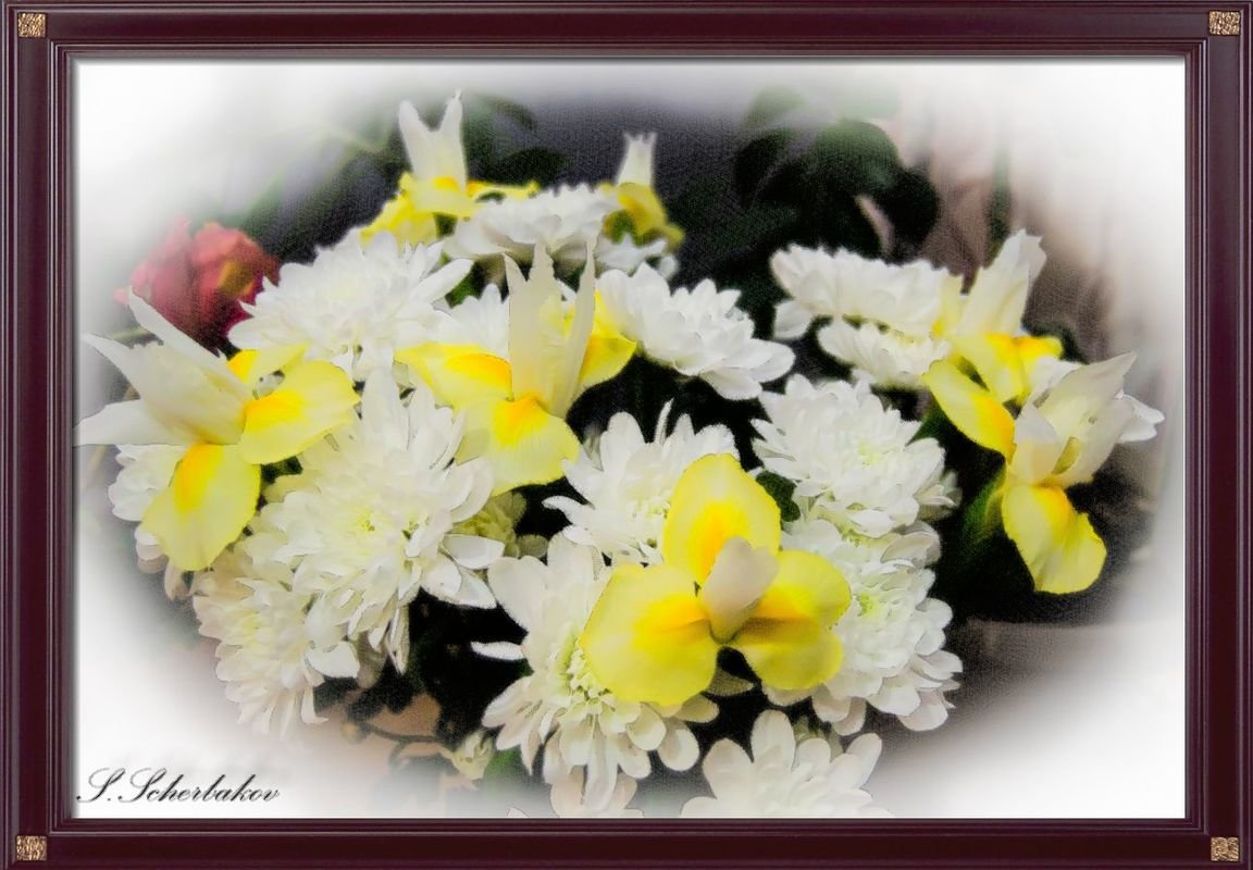 Букет - Сергей Щербаков