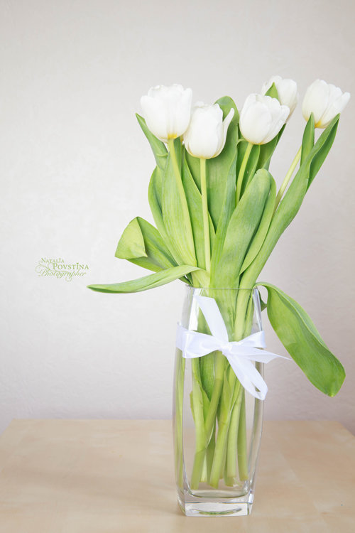 Tюльпаны - Наталья Повстина