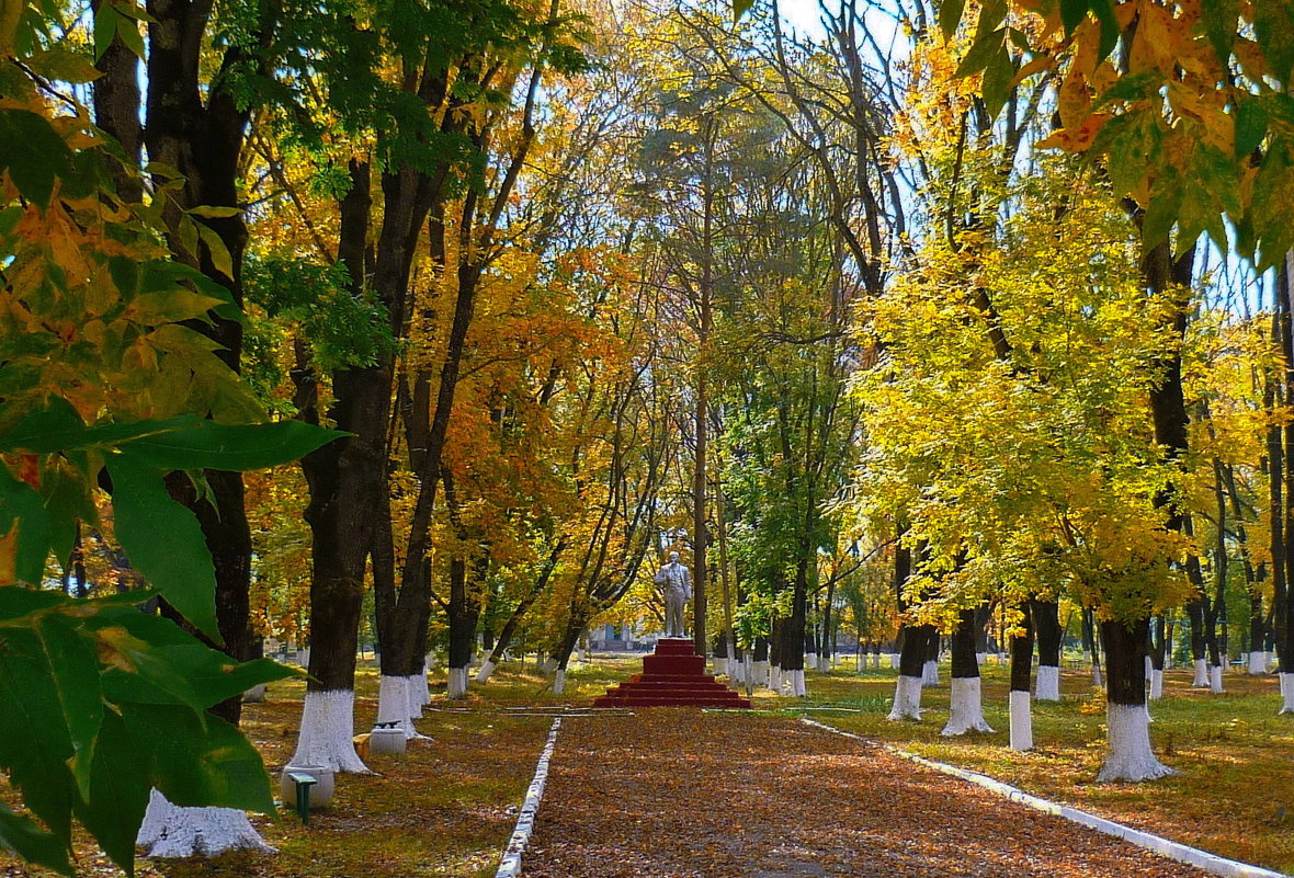 *** - Петр Заровнев