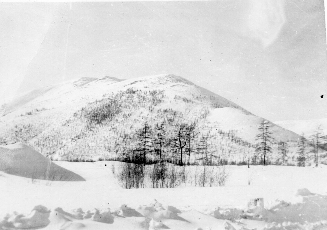 Одна из моих первых фотографий..)) - Ирина Сивовол