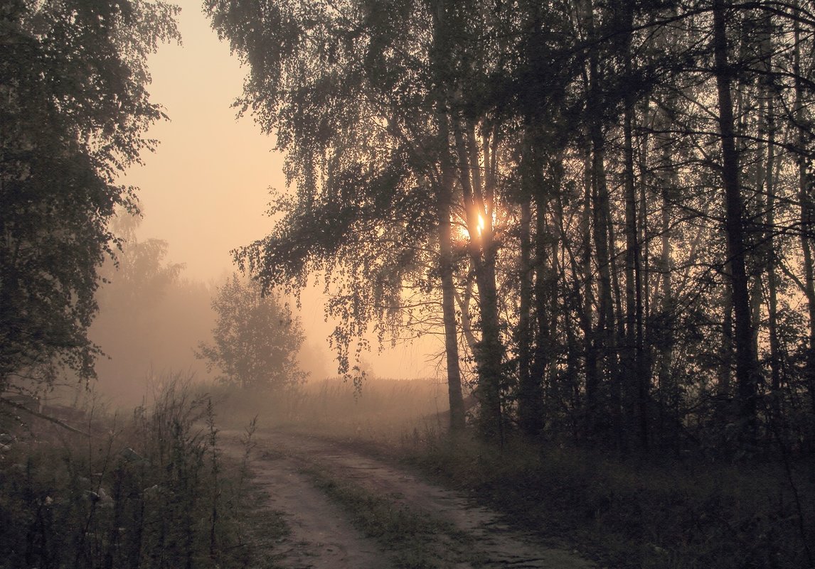 В туман... - Stream 