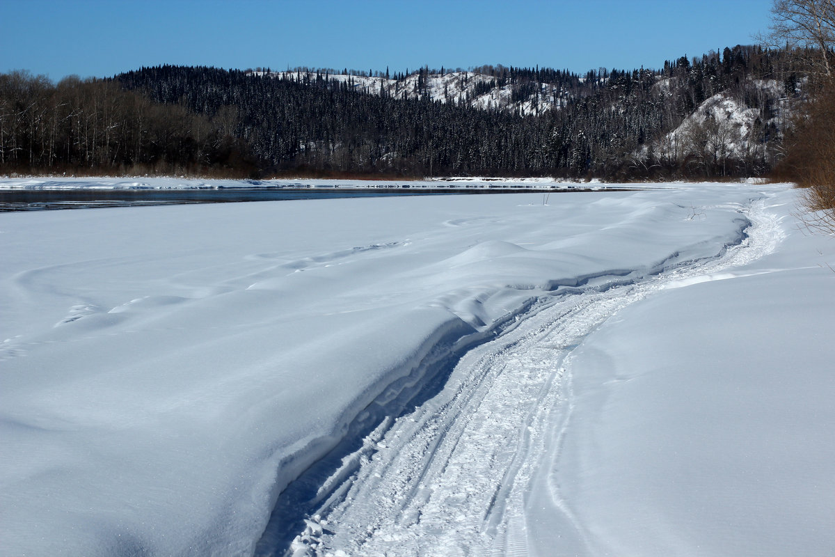 Весенний день - Радмир Арсеньев