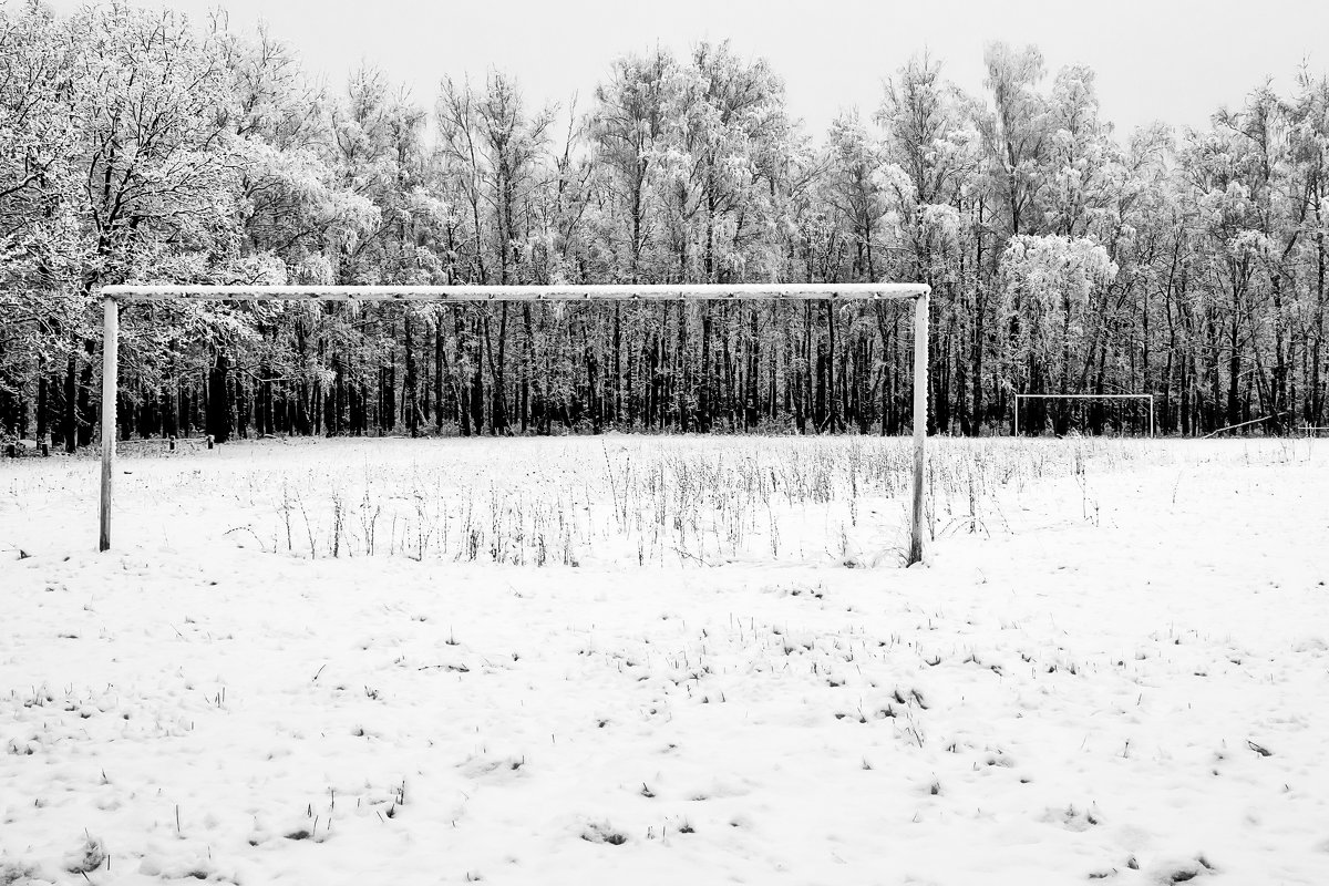 Ворота - Алексей Дмитриев