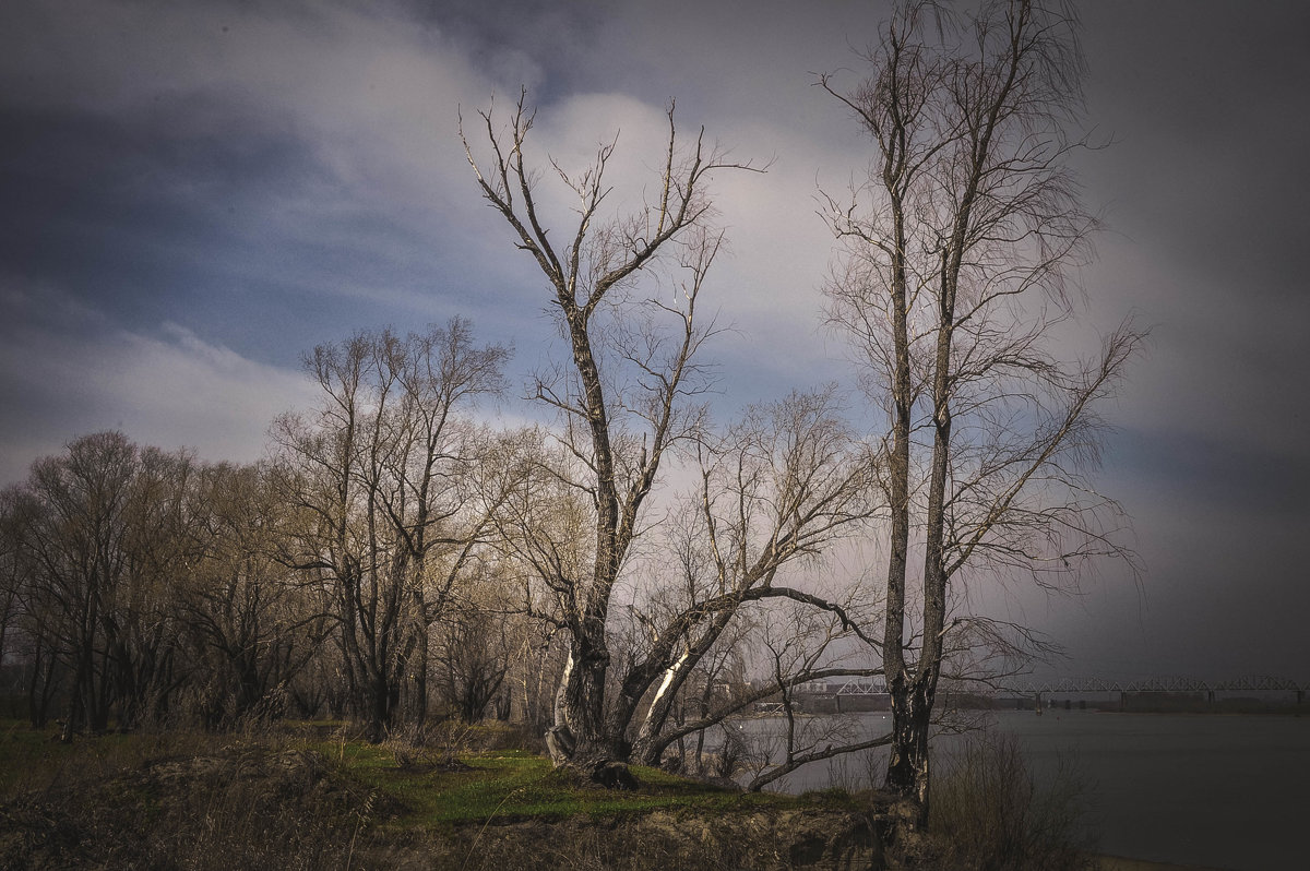 ----- - Ant Glazychev