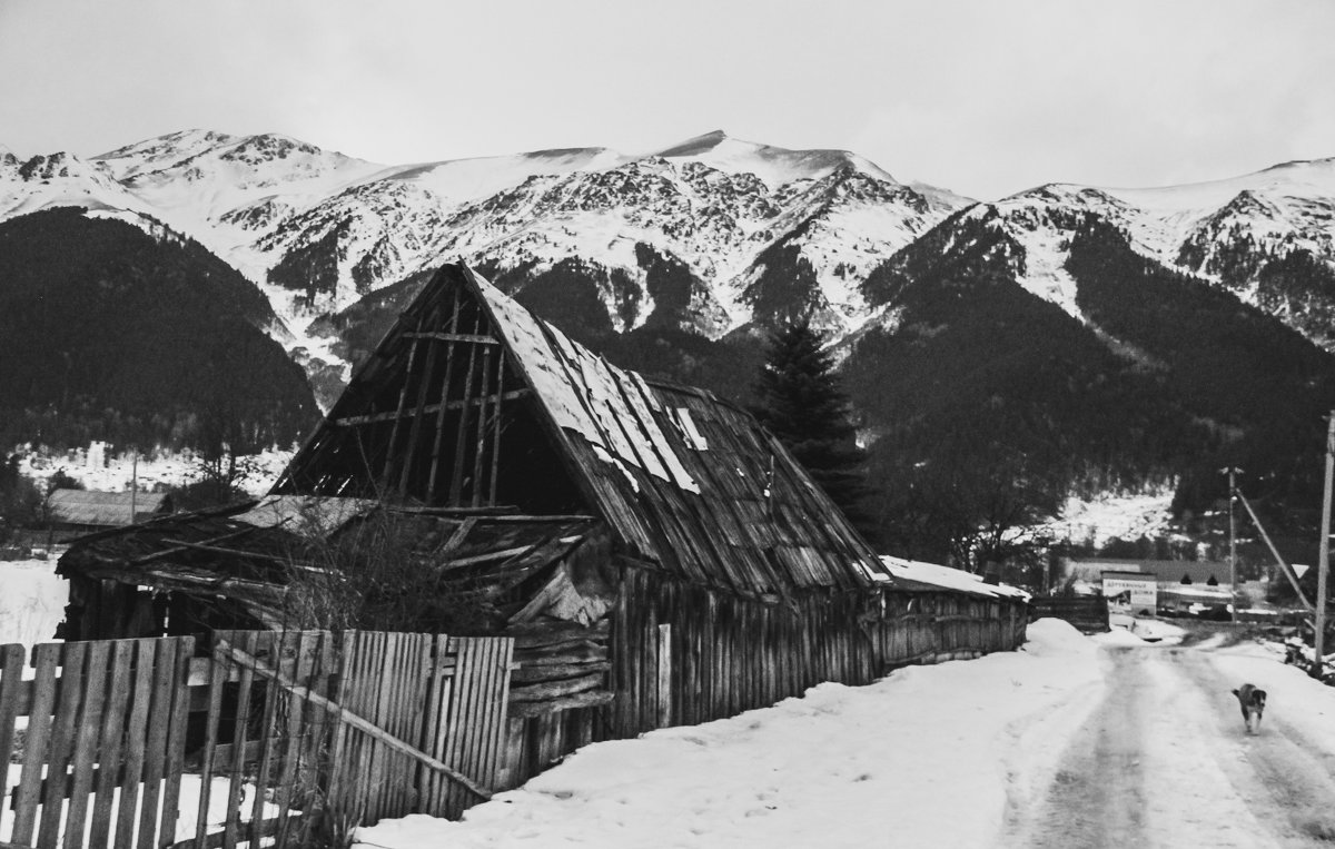 лучше гор могут быть только горы... - Алена Ковалева