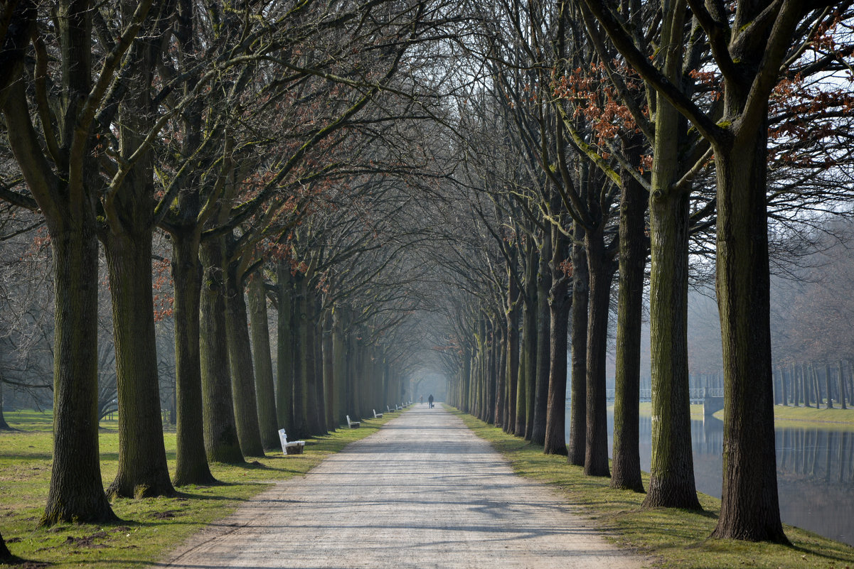 Deutschland, Kassel (Park) - Olga Parfenova