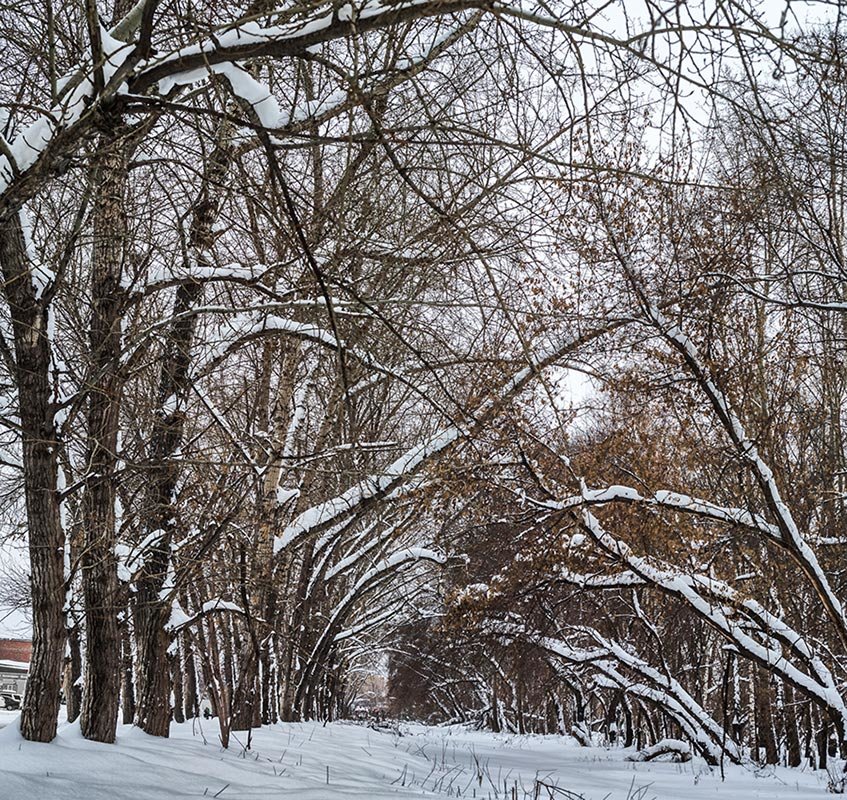 Пейзаж - Nn semonov_nn