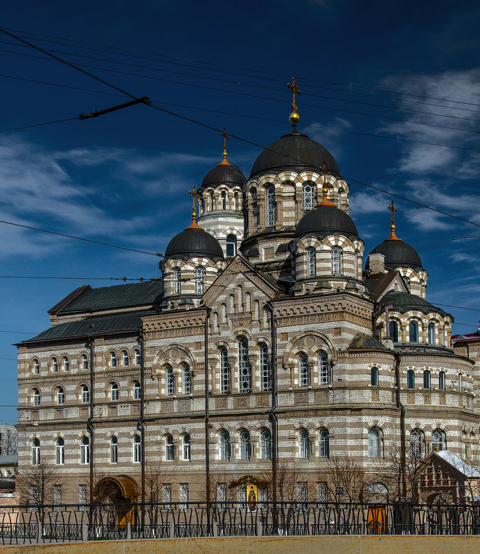 Иоанновский монастырь - ник. петрович земцов