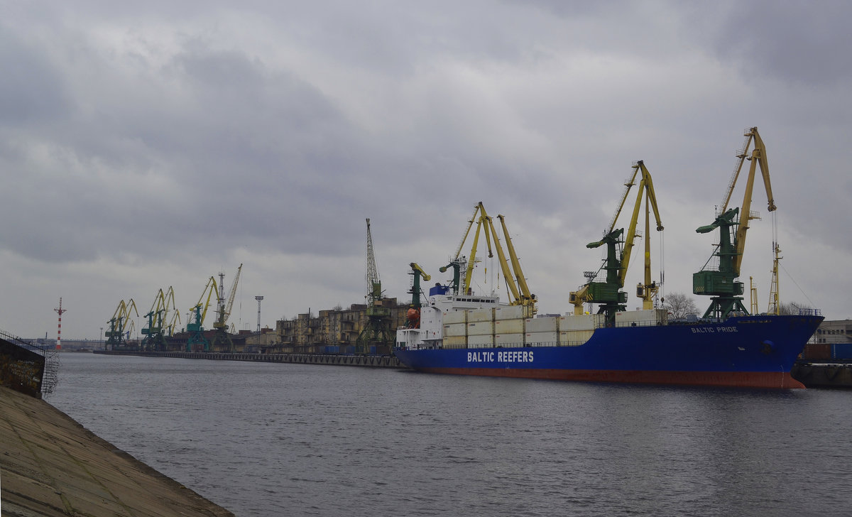 Канонерский остров - Наталья Левина Канонерский остров - Наталья Левина