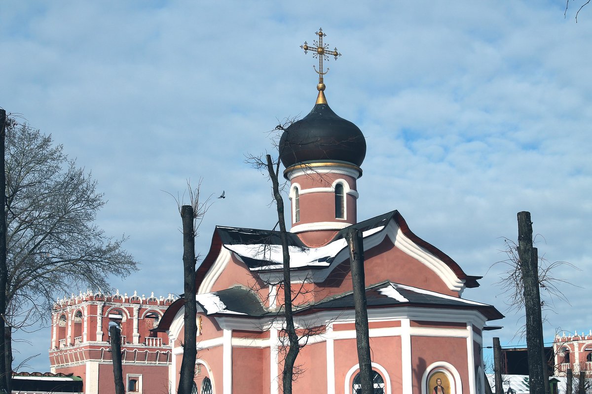 с Благовещением Пресвятой Богородицы - Ирина С