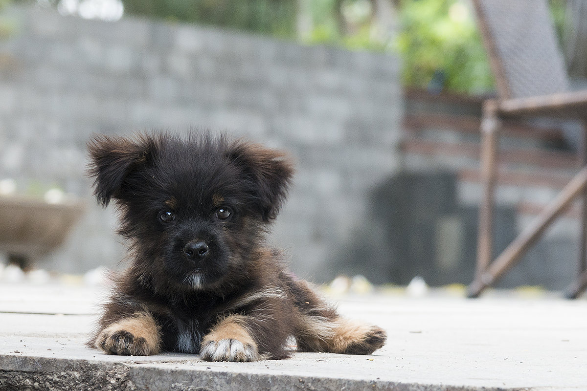 ... - Sergey K. ... - Sergey K.