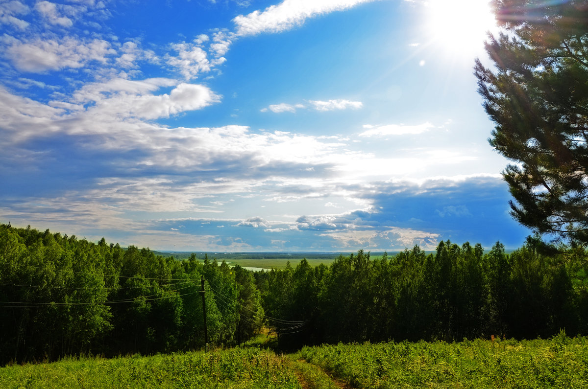 Родные просторы - Екатерина Зенина