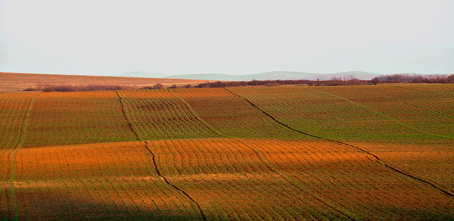 **** - Евгений Кудинов