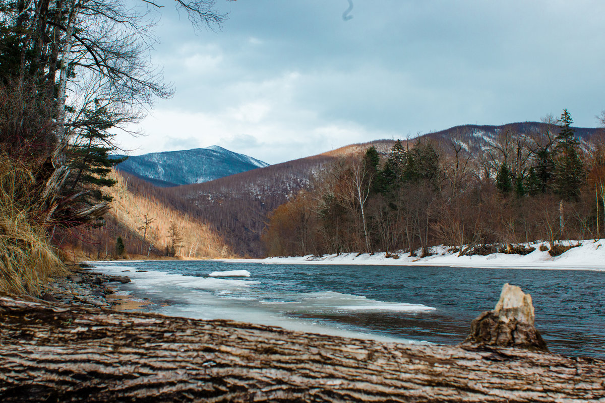 ...Апрель - Иван Денисов