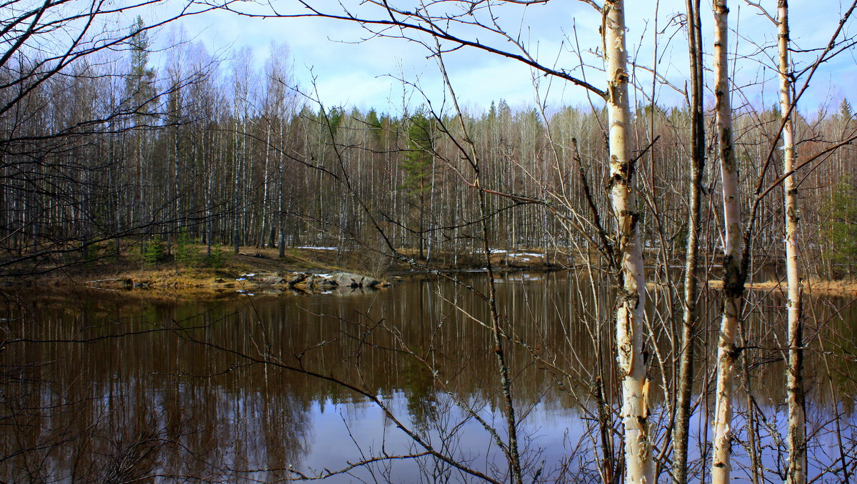 ВЕСНА В КАРЕЛИИ - Николай Гренков