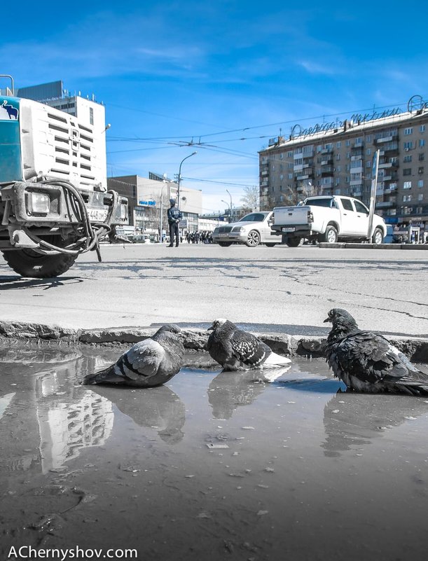 Какое небо голубое.. - Андрей Чернышов