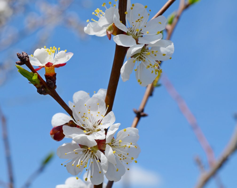 3 - Окcана Гетманец