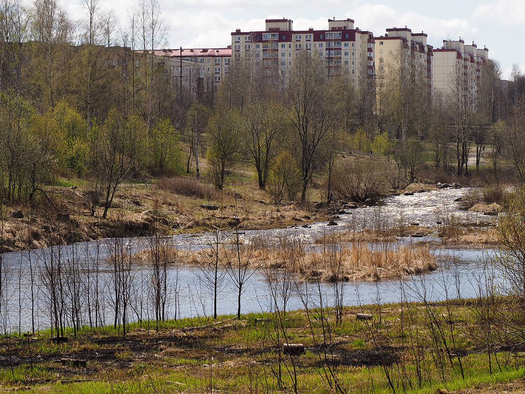 Городской пейзаж. - Лазарева Оксана