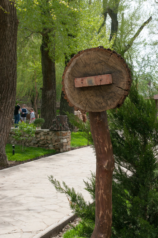 Дорожные знаки без прикрас - Денис 