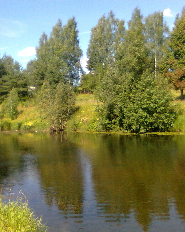 Река Оредеж - Виктор Елисеев