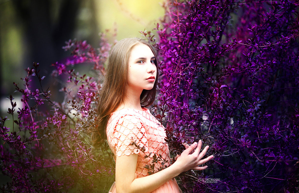 Лейла и волшебный лес - михаил шестаков Лейла и волшебный лес - михаил шестаков