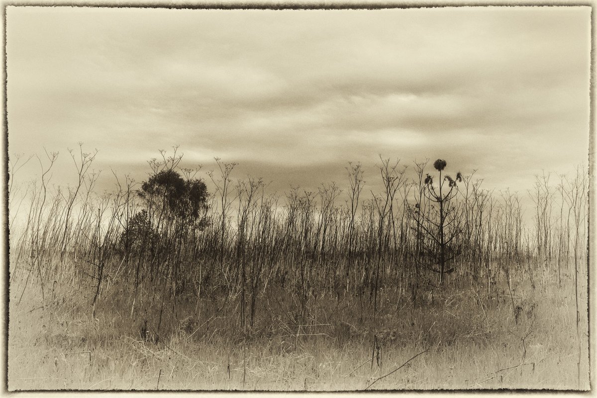 ****** - Вячеслав Овчинников