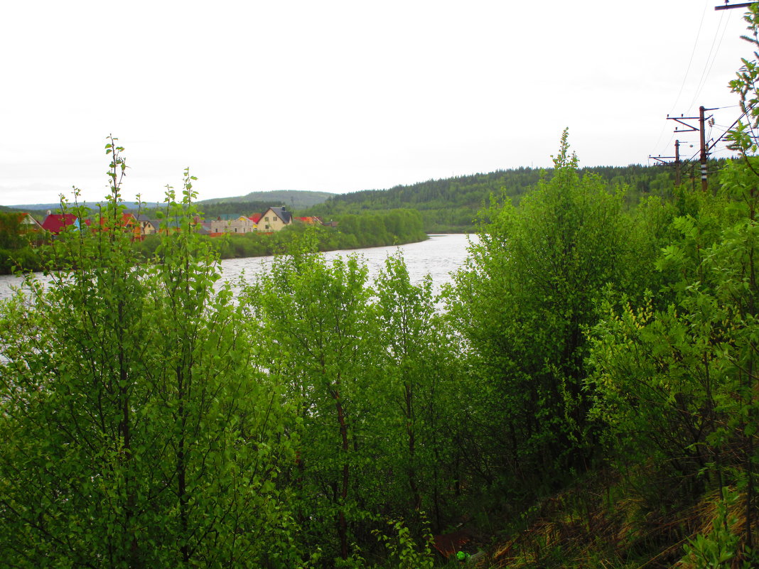 река Тулома,Мурманская область - Людмила Жердева