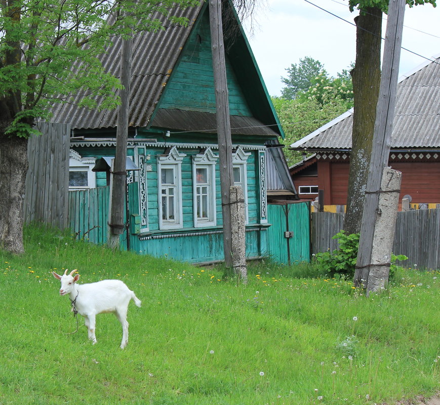 Провинциальная картинка - Татьяна Латышева