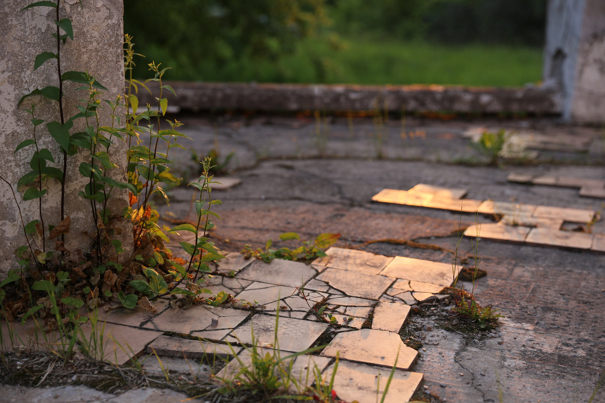 На закате - Татьяна [Sumtime]