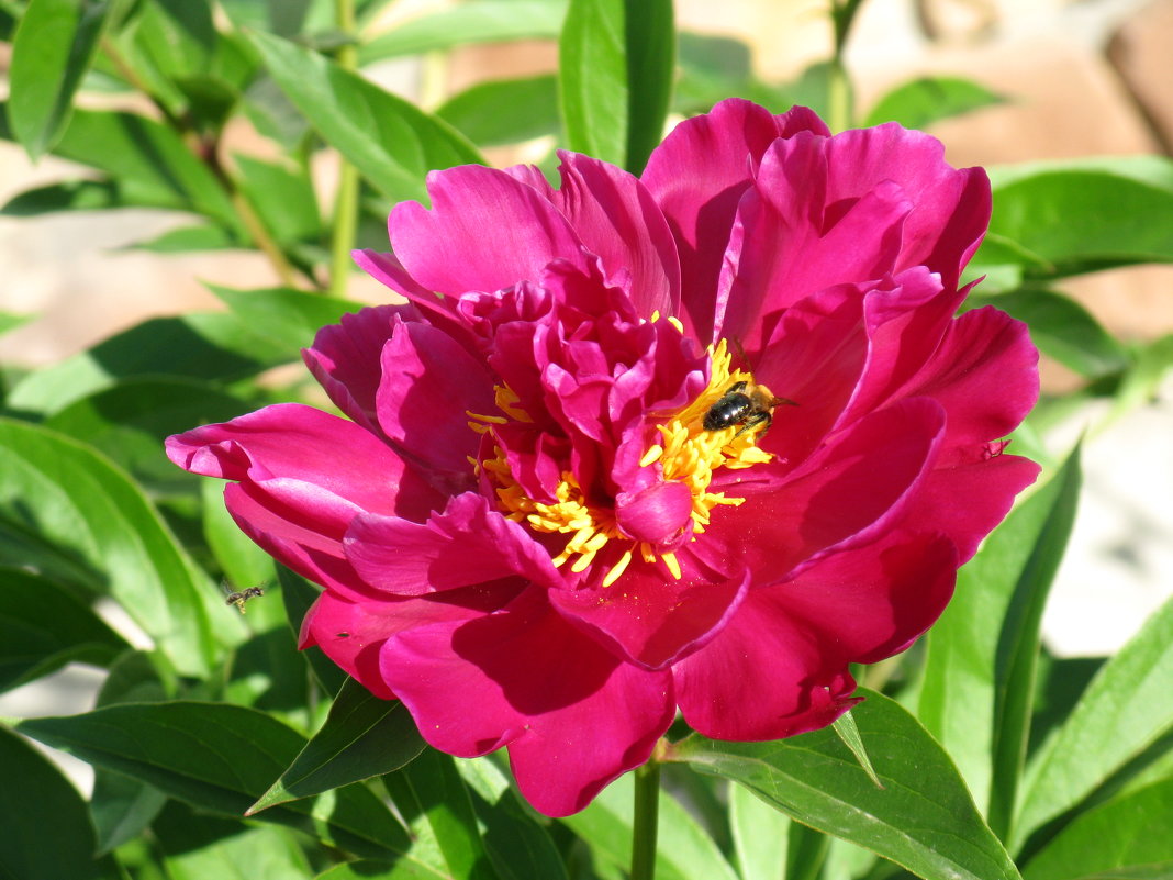 -"Первый, я второй. Иду на подмогу..." - Андрей Горячев