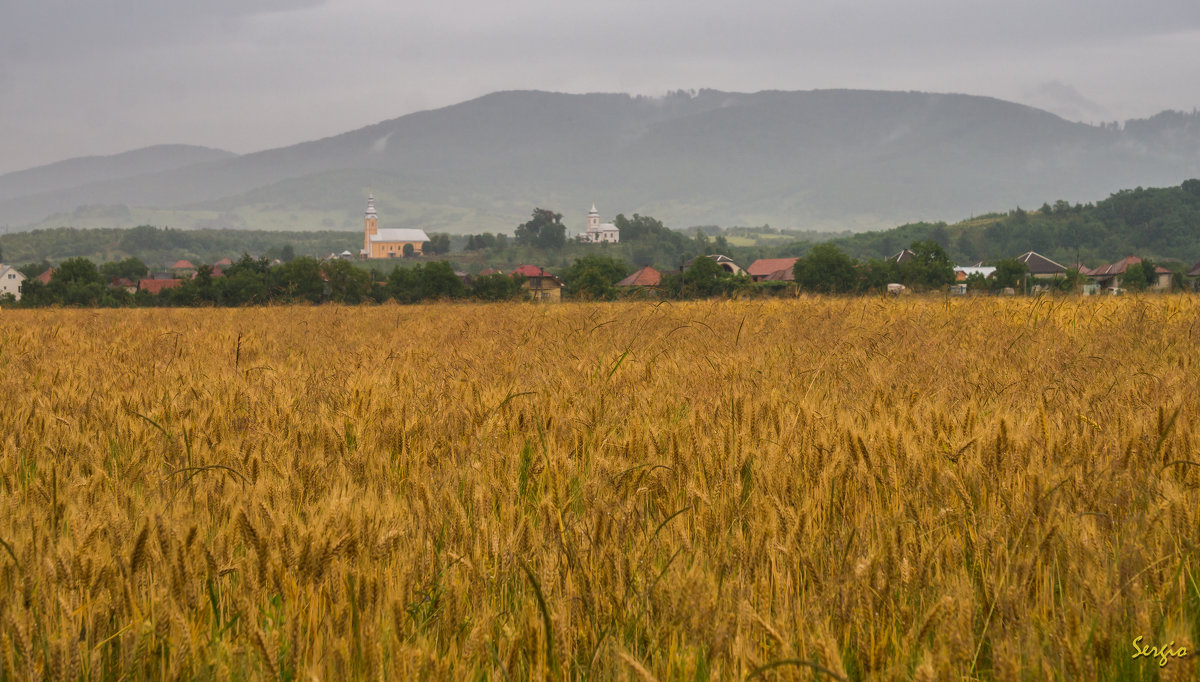 Украина-Закарпатье - Сергей Форос