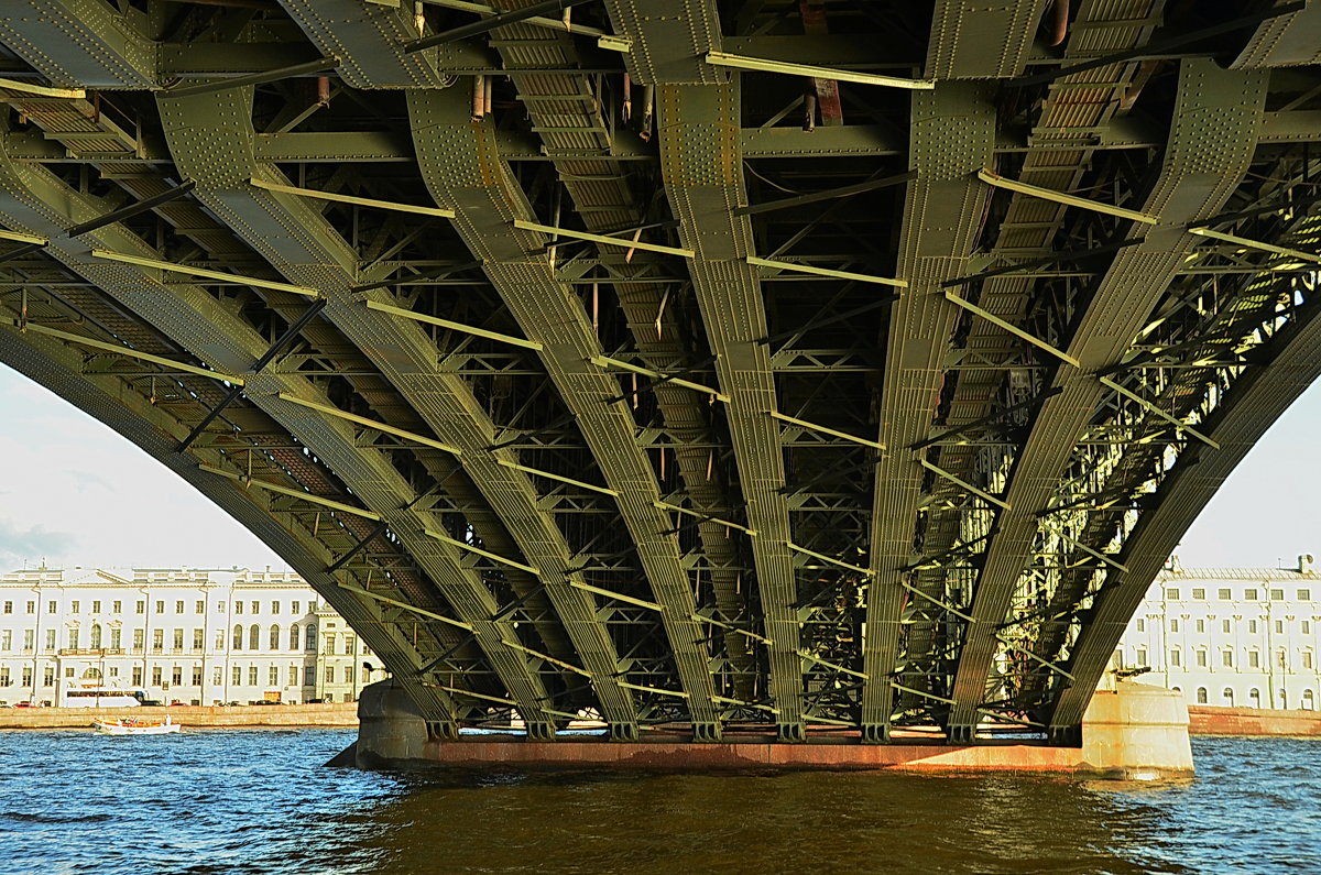 Троицкий мост - Николай Танаев