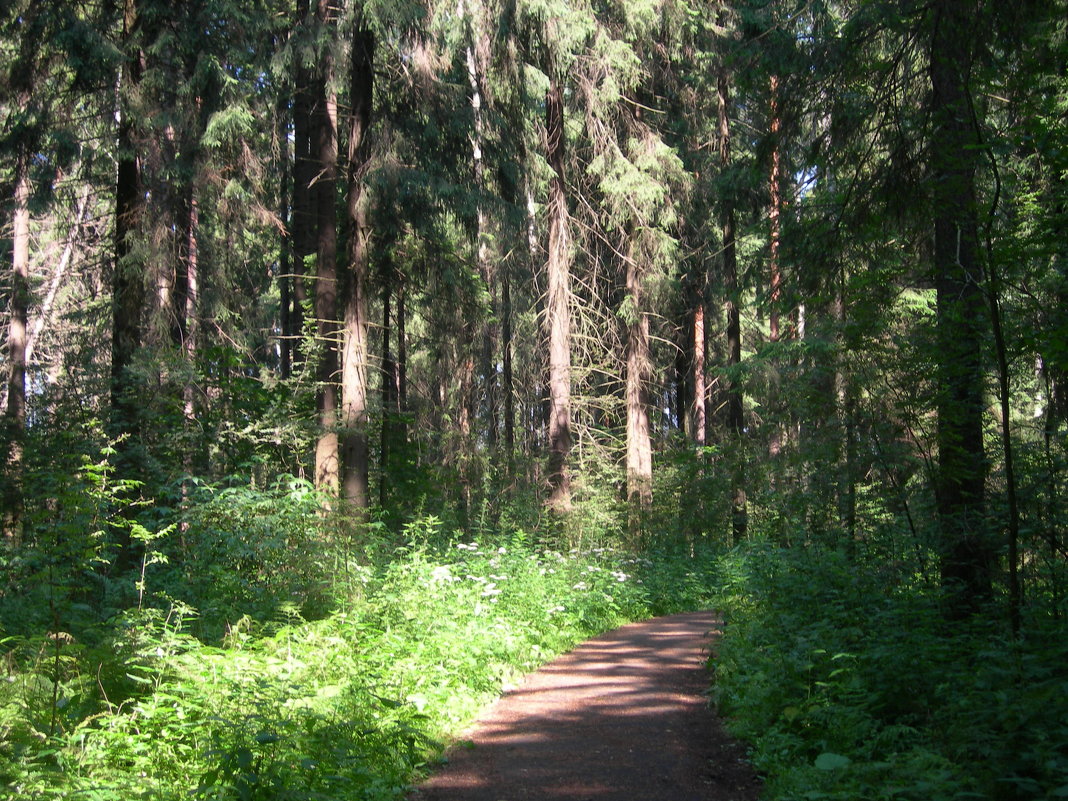 Лето - Ольга 