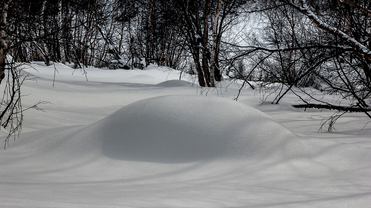 Шапка снега. - Олег Петрушин