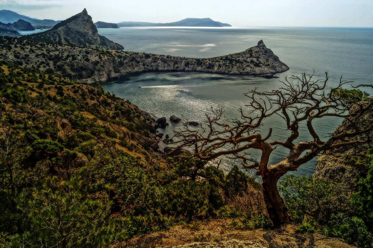 ... - Валерий Карпенко