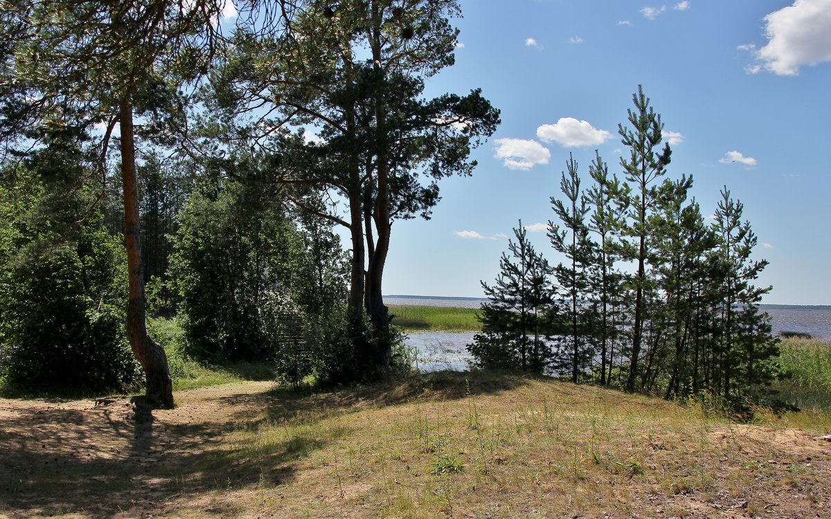 ПОБЕРЕЖЬЕ РЫБИНКИ - VADIM *****