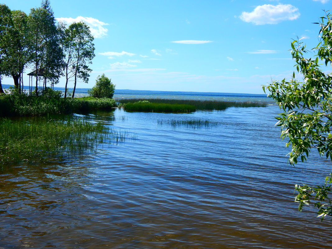 Плещеево озеро - Наталья 